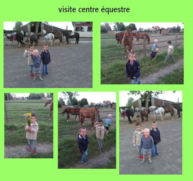 Les Chevaux